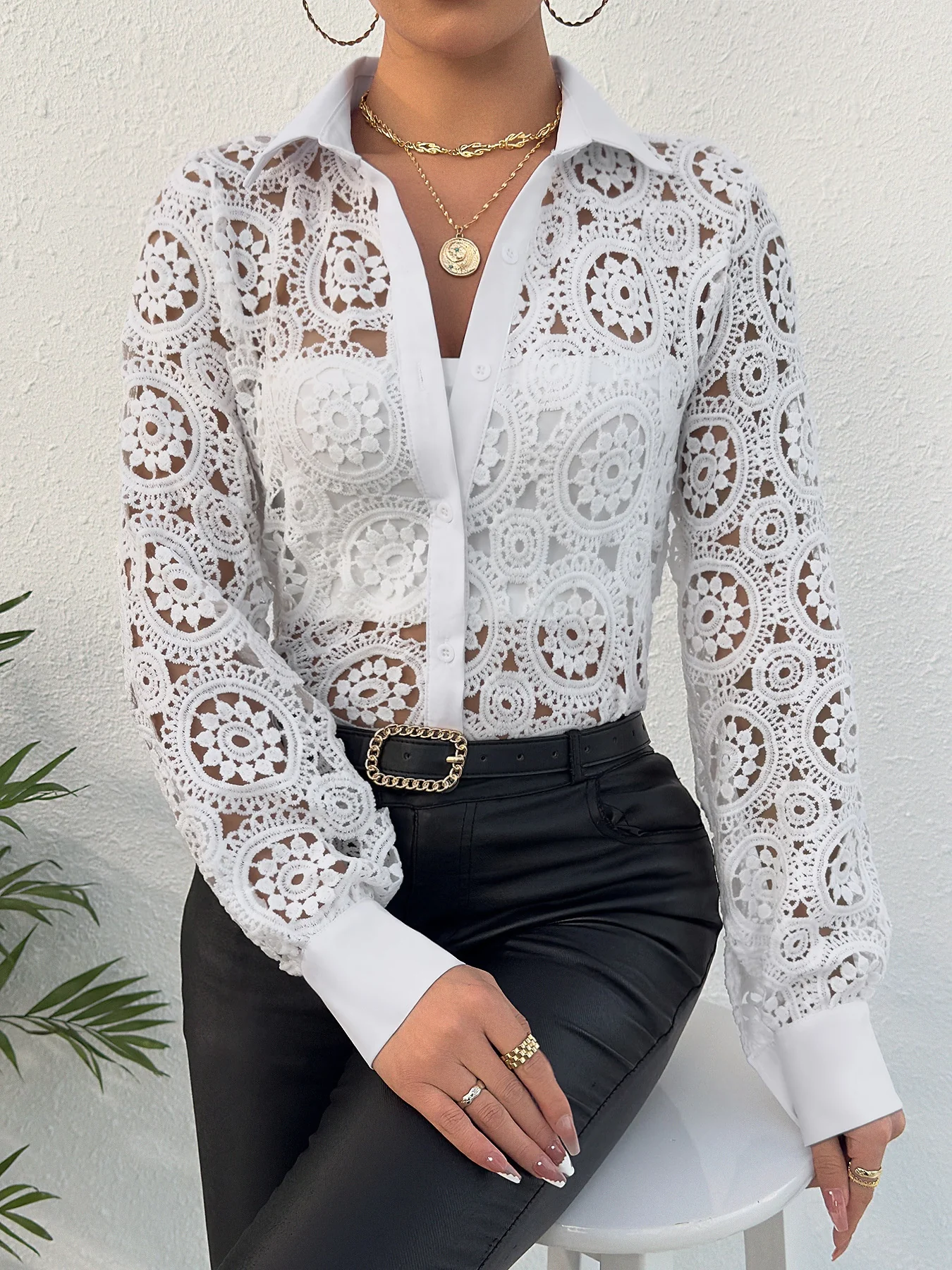 Long-sleeved Lace V-neck Sheer Top