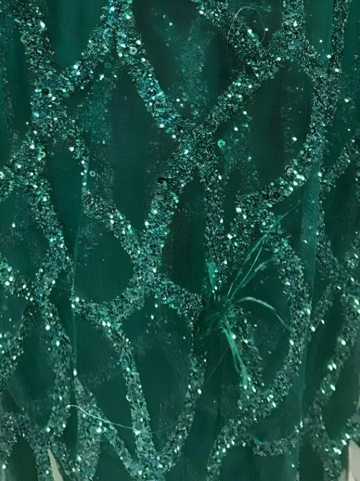 Long Sleeveless Feather Glitter Maxi Dresses - Image 3